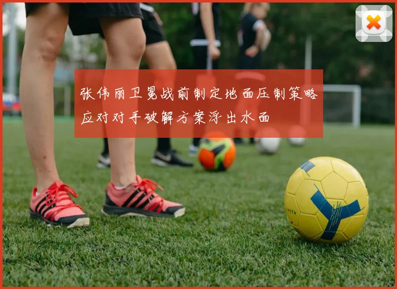 张伟丽卫冕战前制定地面压制策略应对对手破解方案浮出水面
